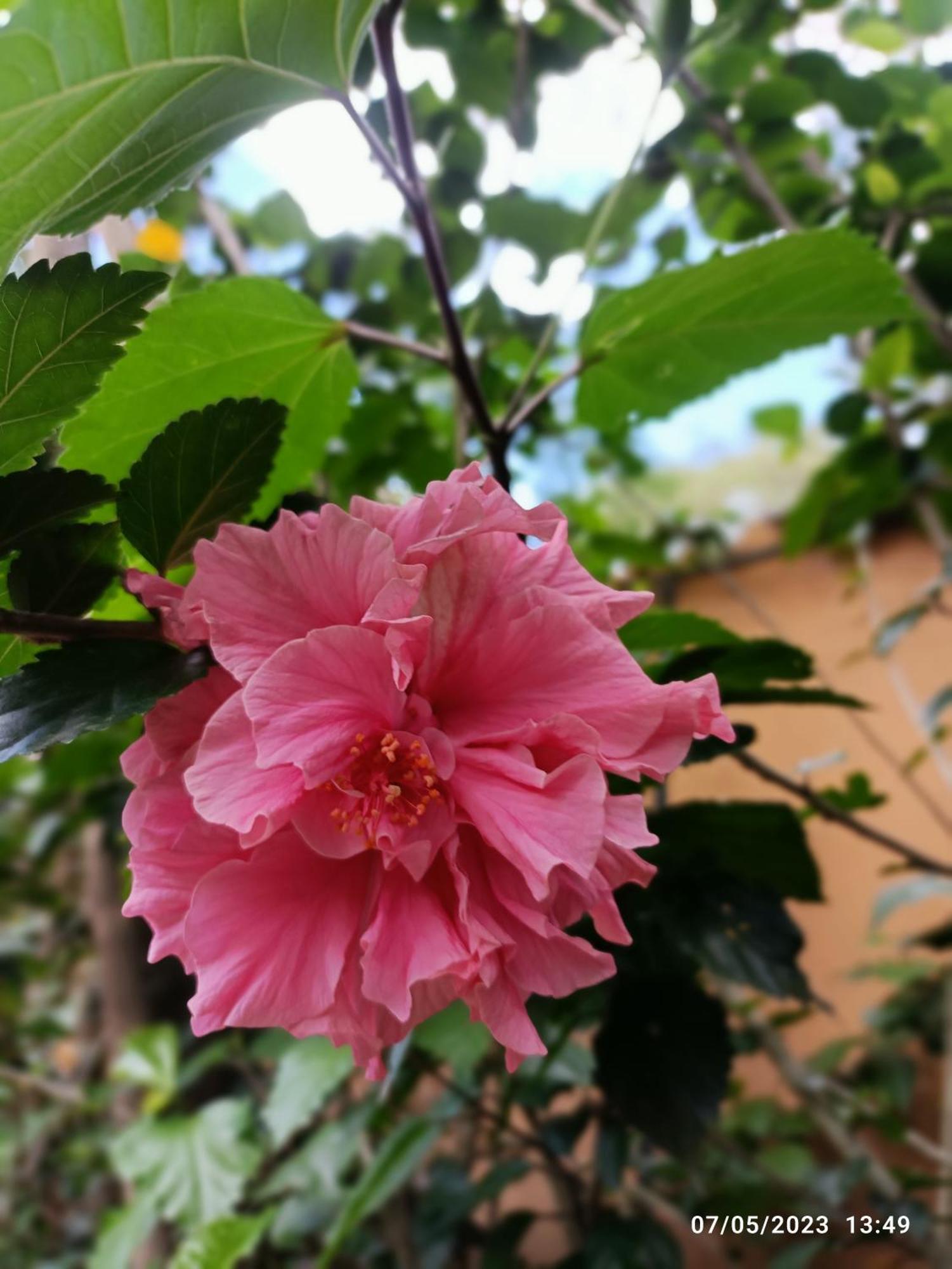 La Casa De La Nonna Acomodação com café da manhã Quito Exterior foto